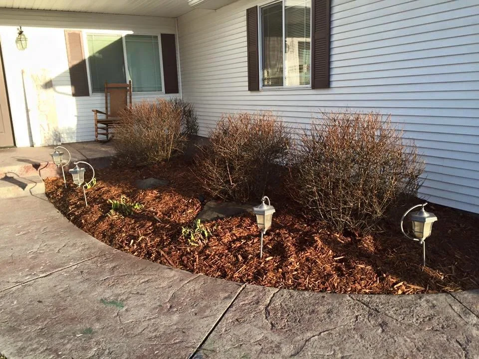 Blue Grass Hydroseeding - Photo 4