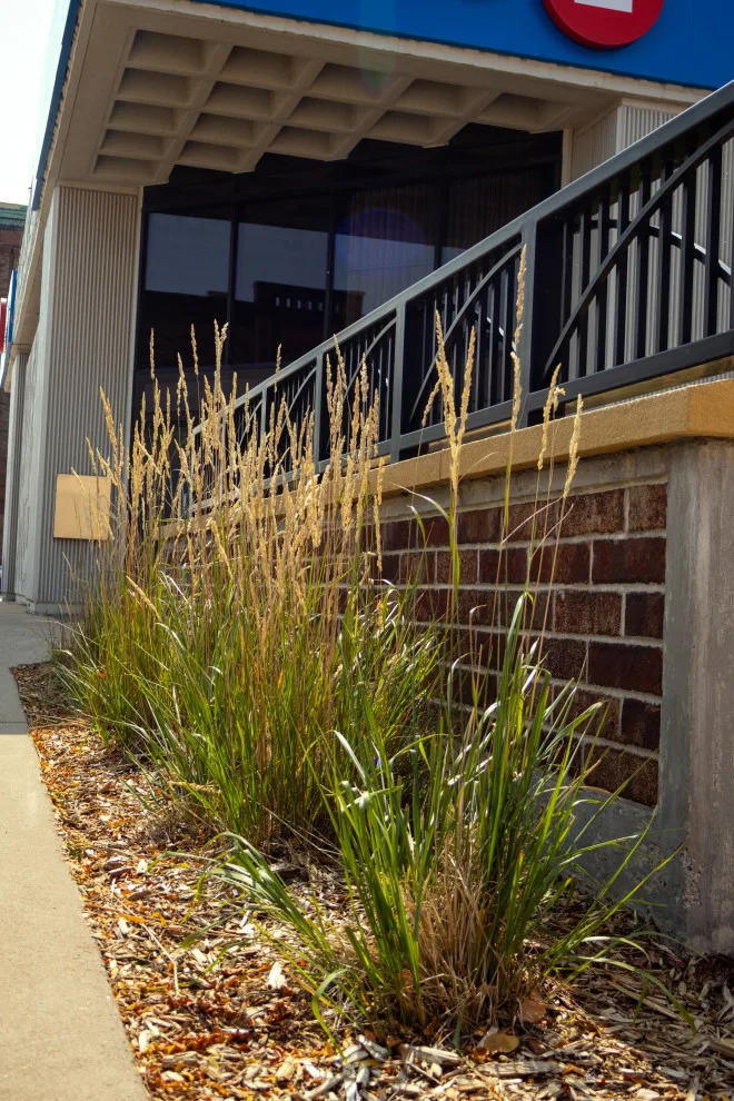 CHS Superior Landscaping - Photo 9