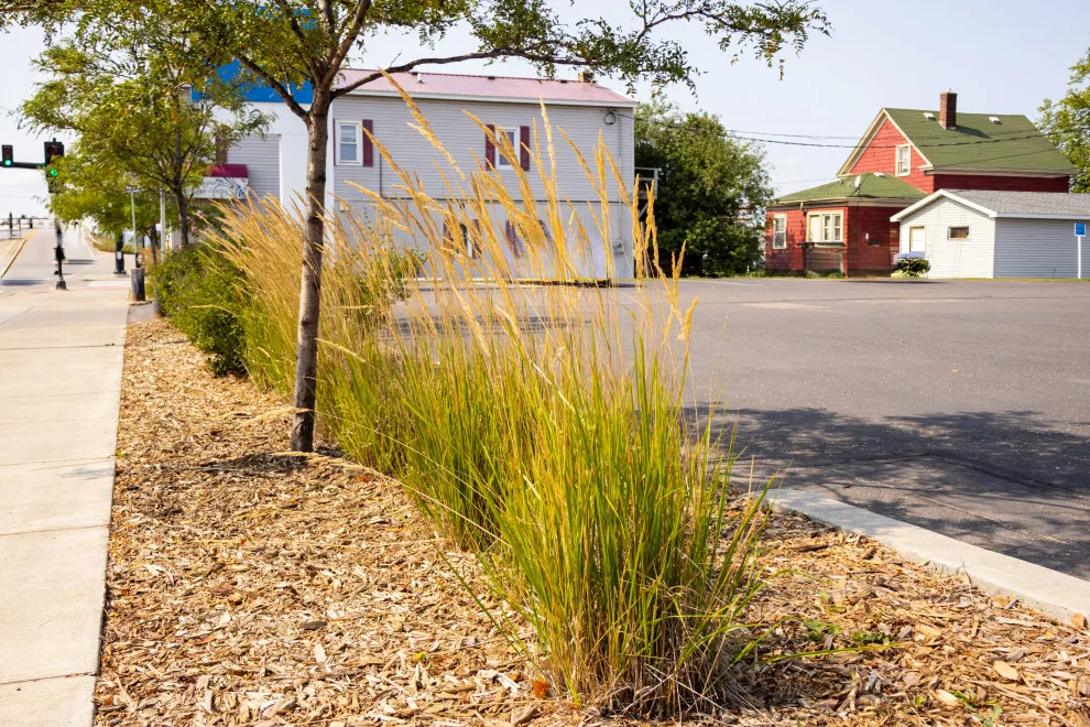Green Spaces by CHS Superior Landscaping - Photo 27