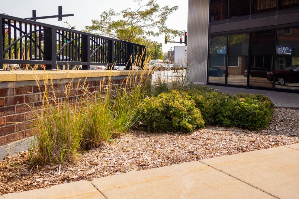 Green Spaces by CHS Superior Landscaping - Photo 2