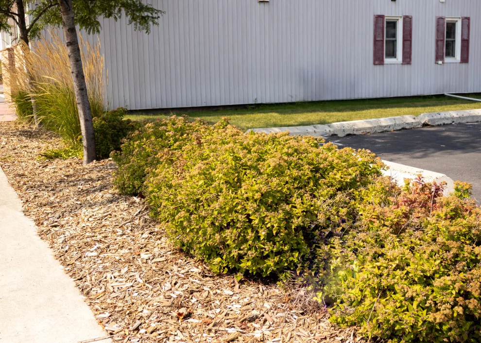 Green Spaces by CHS Superior Landscaping - Photo 15