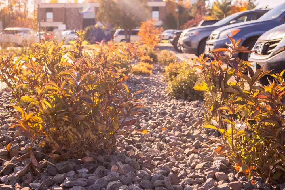 Green Spaces by CHS Superior Landscaping - Photo 17