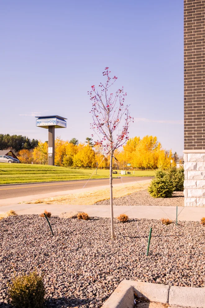 Green Spaces by CHS Superior Landscaping - Photo 30