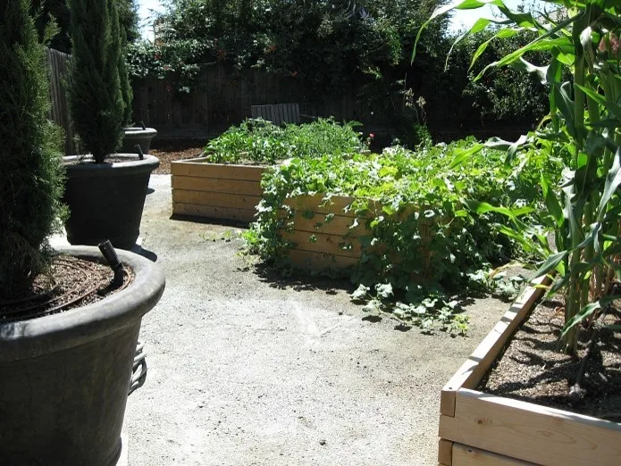 Butterfly Haven by Plant Systems Landscape - Photo 2