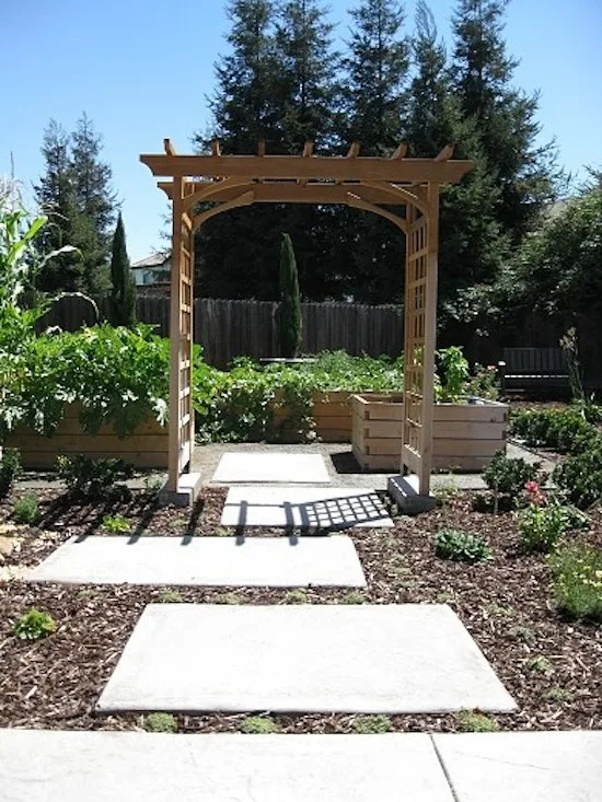 Plant Systems Landscape - Photo 9