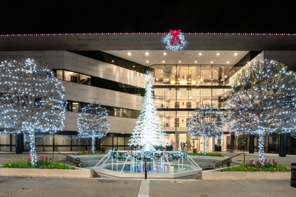California Christmas Illumination by Kaylor Landscape + Christmas Decor - Photo 25
