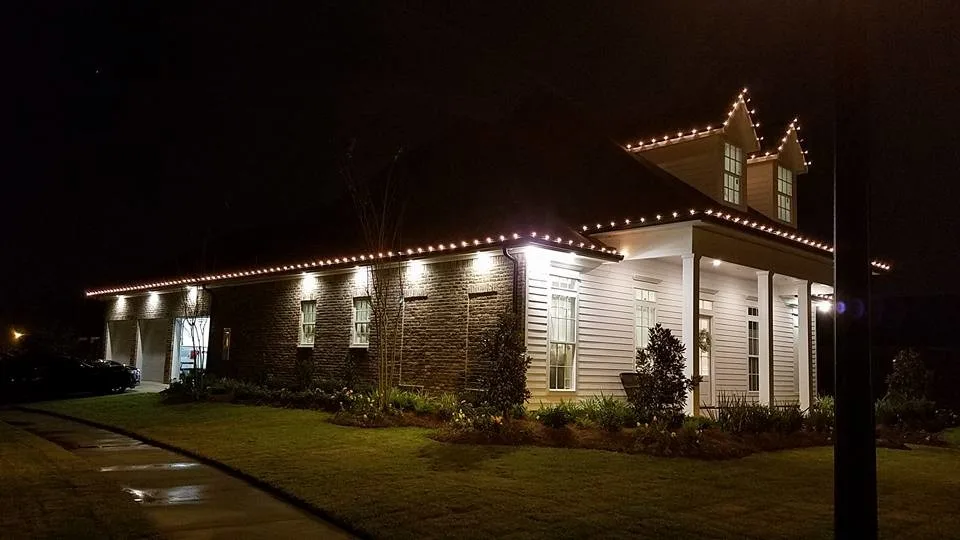 Twisted Vines Lawn & Landscaping - Photo 4