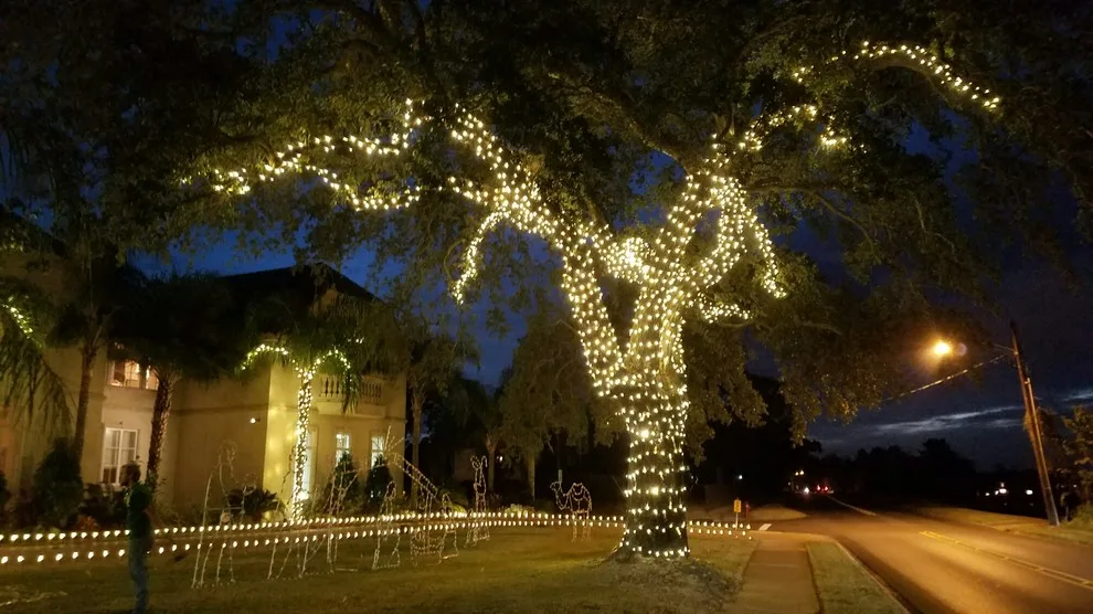 Festive Decorations by Twisted Vines Lawn & Landscaping - Photo 6