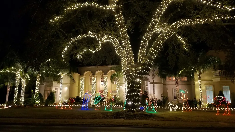 Festive Decorations by Twisted Vines Lawn & Landscaping - Photo 8