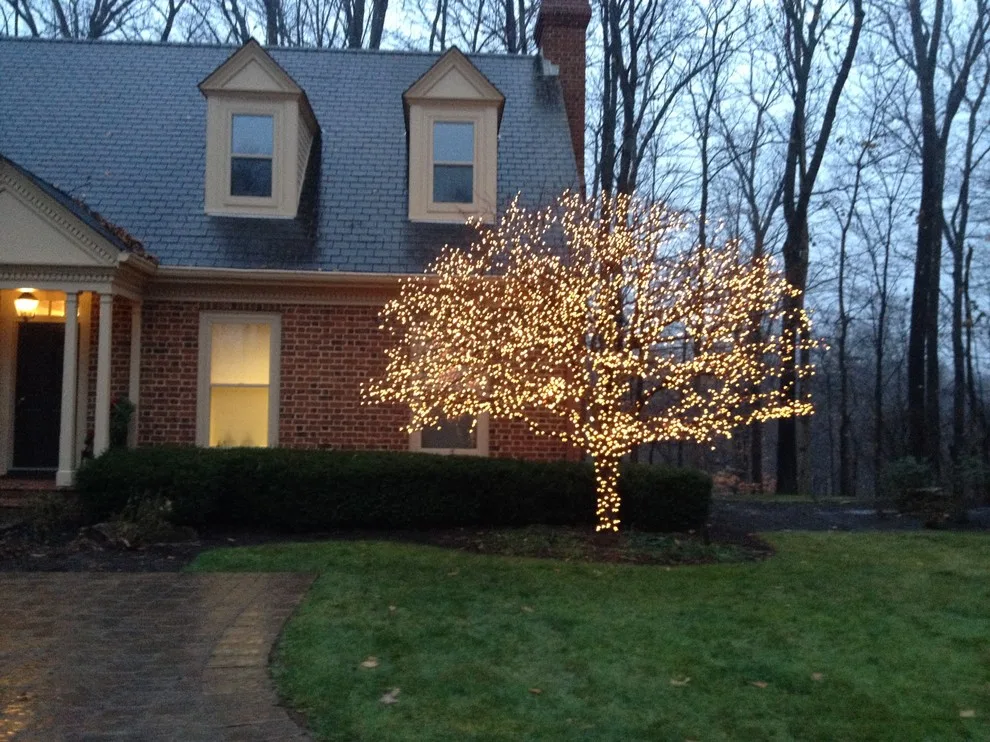 Holiday Season by Bruce Ewing - Photo 9