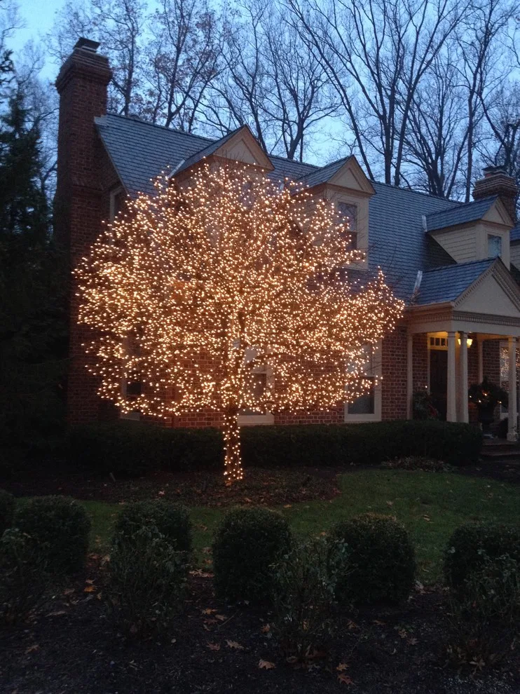 Holiday Season by Bruce Ewing - Photo 17