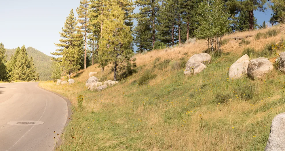 Clear Creek Tahoe Retreat by Gail Willey Landscaping & Colorock - Photo 7