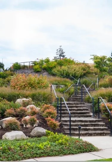 Commercial Landscaping Solutions by ProScapes - Photo 5