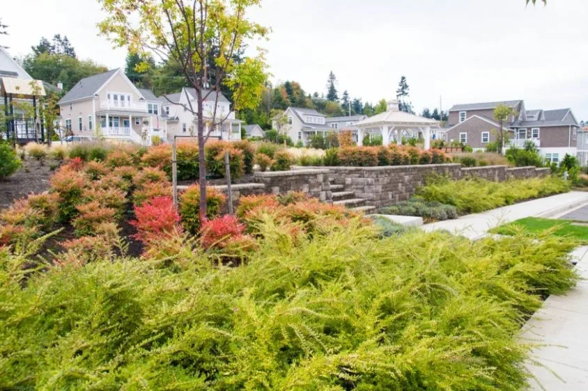 Commercial Landscaping Solutions by ProScapes - Photo 2