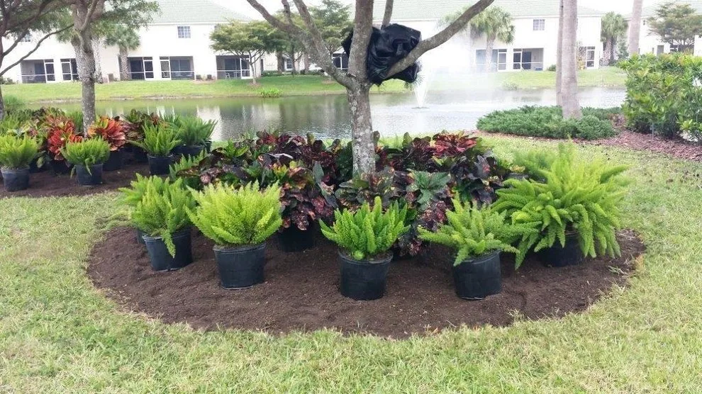 Business Installations by Photoscape Landscape And Design - Photo 8