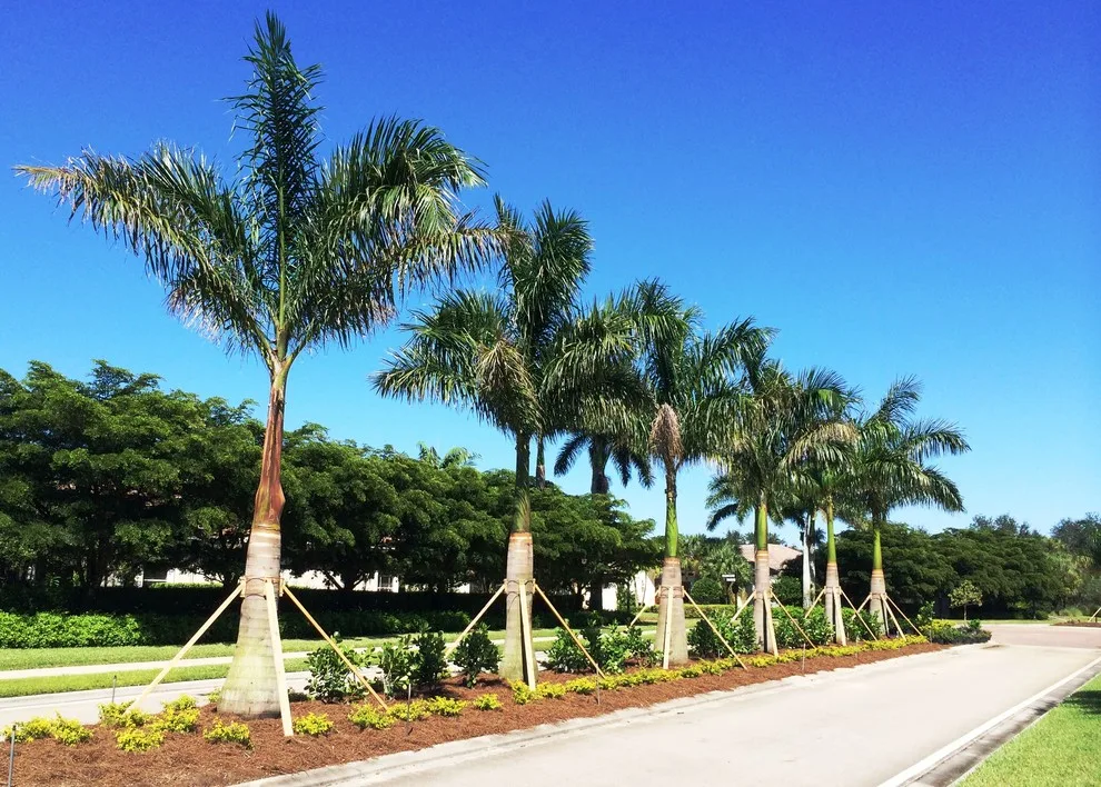Business Installations by Photoscape Landscape And Design - Photo 41