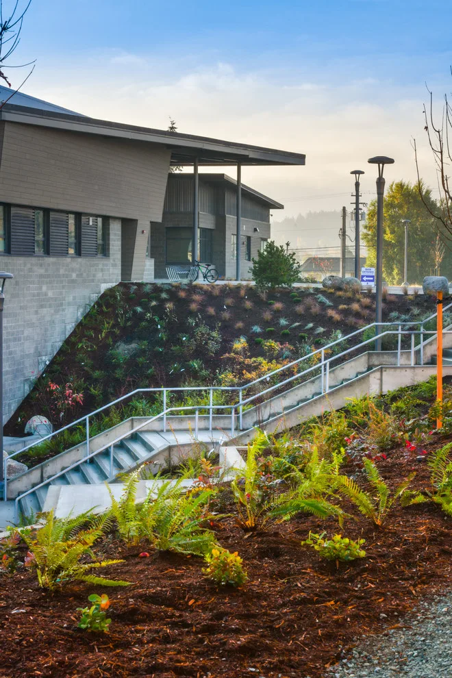 ProScapes Landscaping at Anacortes High School by ProScapes - Photo 4