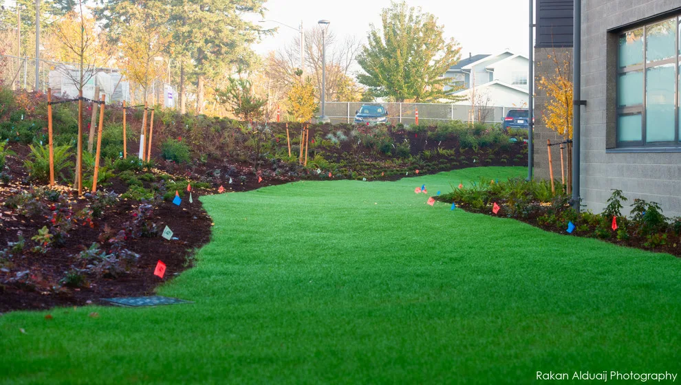 ProScapes Landscaping at Anacortes High School by ProScapes - Photo 12