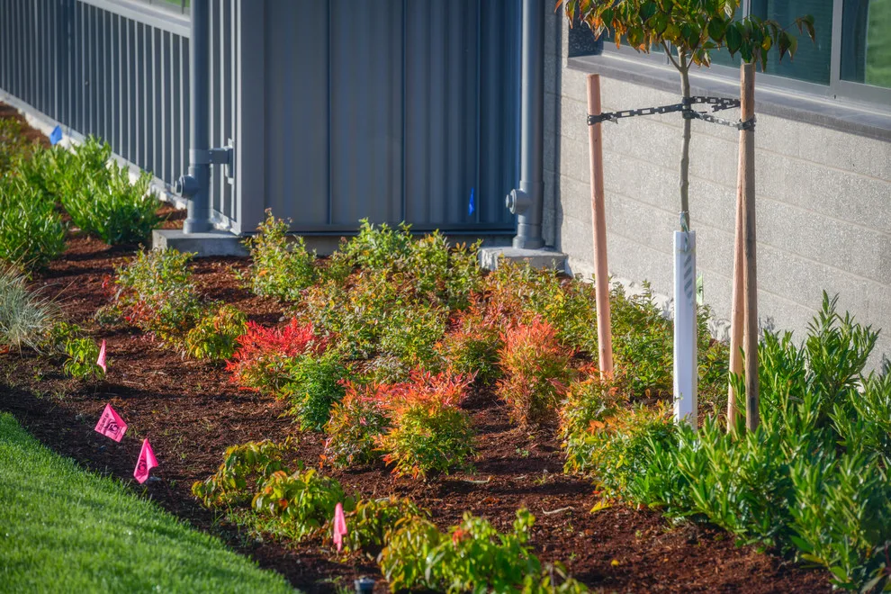 ProScapes Landscaping at Anacortes High School by ProScapes - Photo 6
