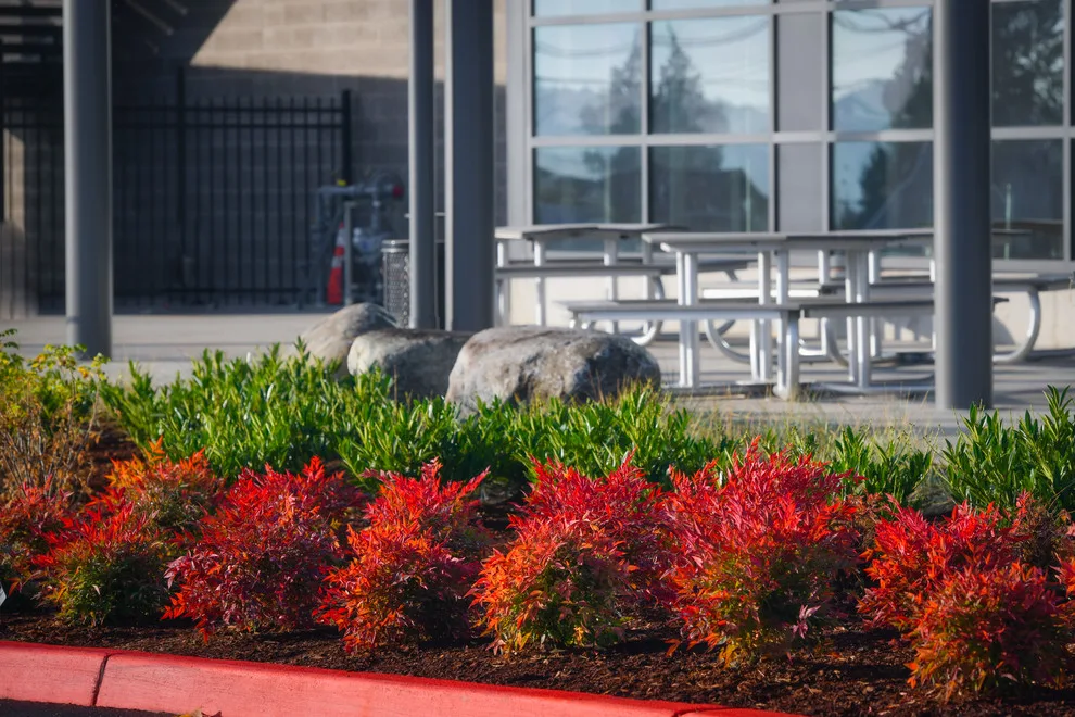 ProScapes Landscaping at Anacortes High School by ProScapes - Photo 14