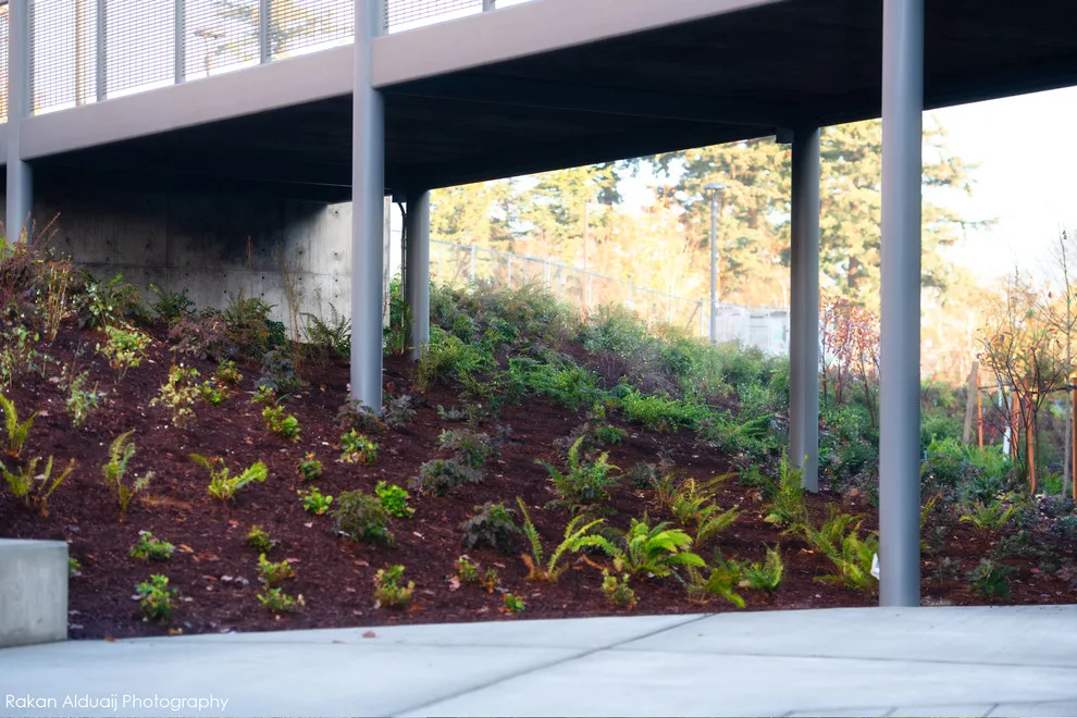 ProScapes Landscaping at Anacortes High School by ProScapes - Photo 2