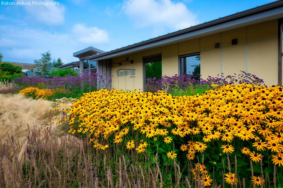 ProScapes Designed PLAYHOUSE DENTAL Landscaping by ProScapes - Photo 2