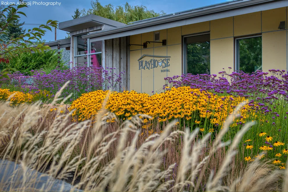 ProScapes Designed PLAYHOUSE DENTAL Landscaping by ProScapes - Photo 4