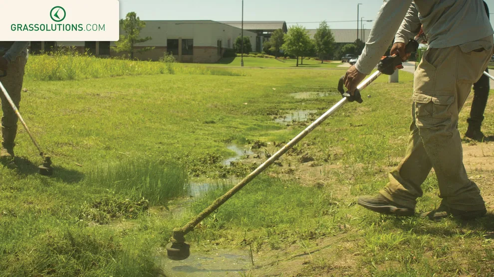 Grass Solutions - Photo 6