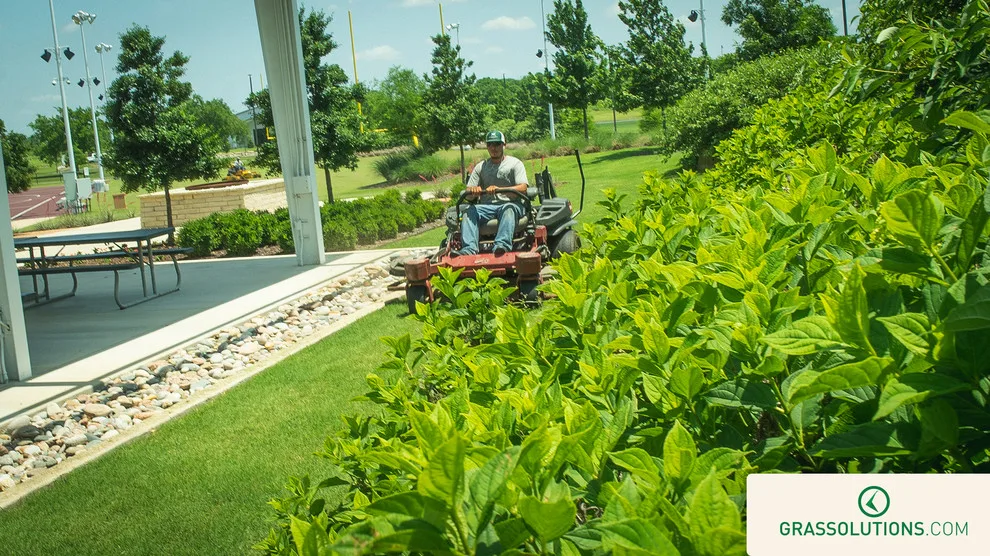 Grass Solutions - Photo 5