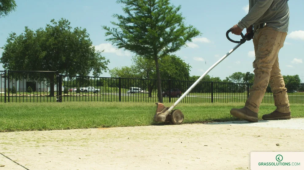 Grass Solutions - Photo 10