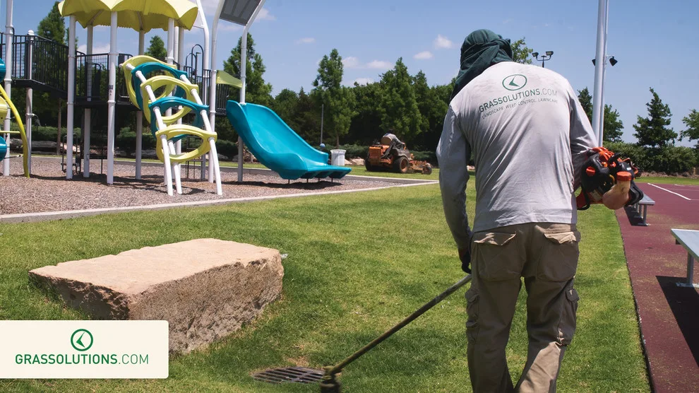 Grass Solutions - Photo 12