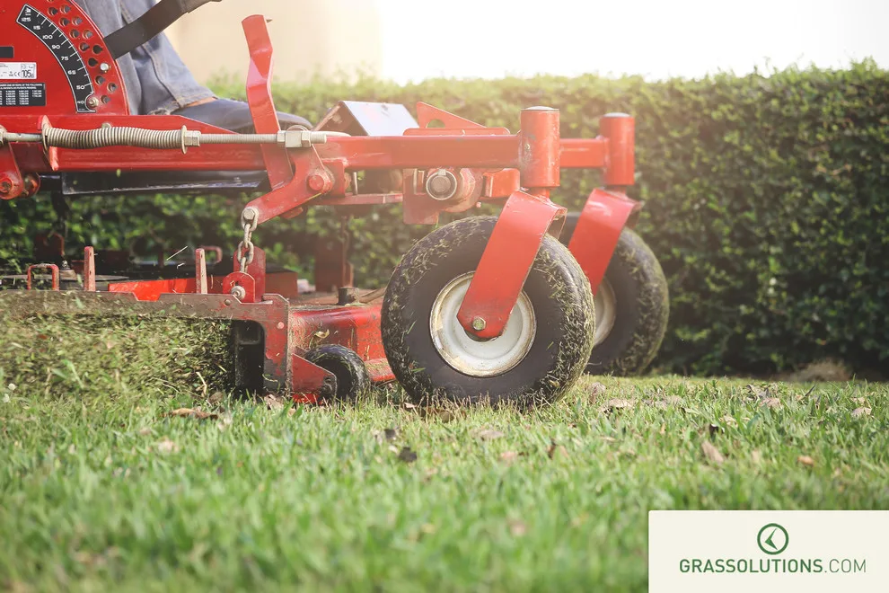 Grass Solutions - Photo 8