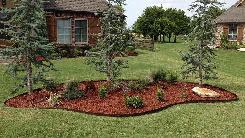 Grass Solutions - Photo 11