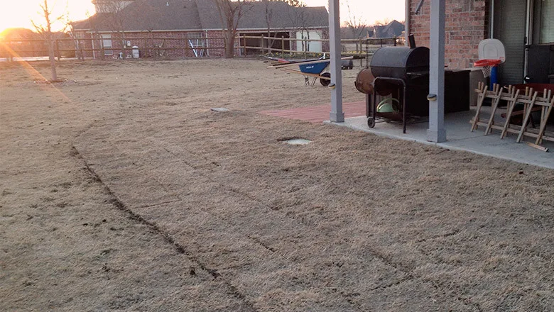 Grass Solutions - Photo 13