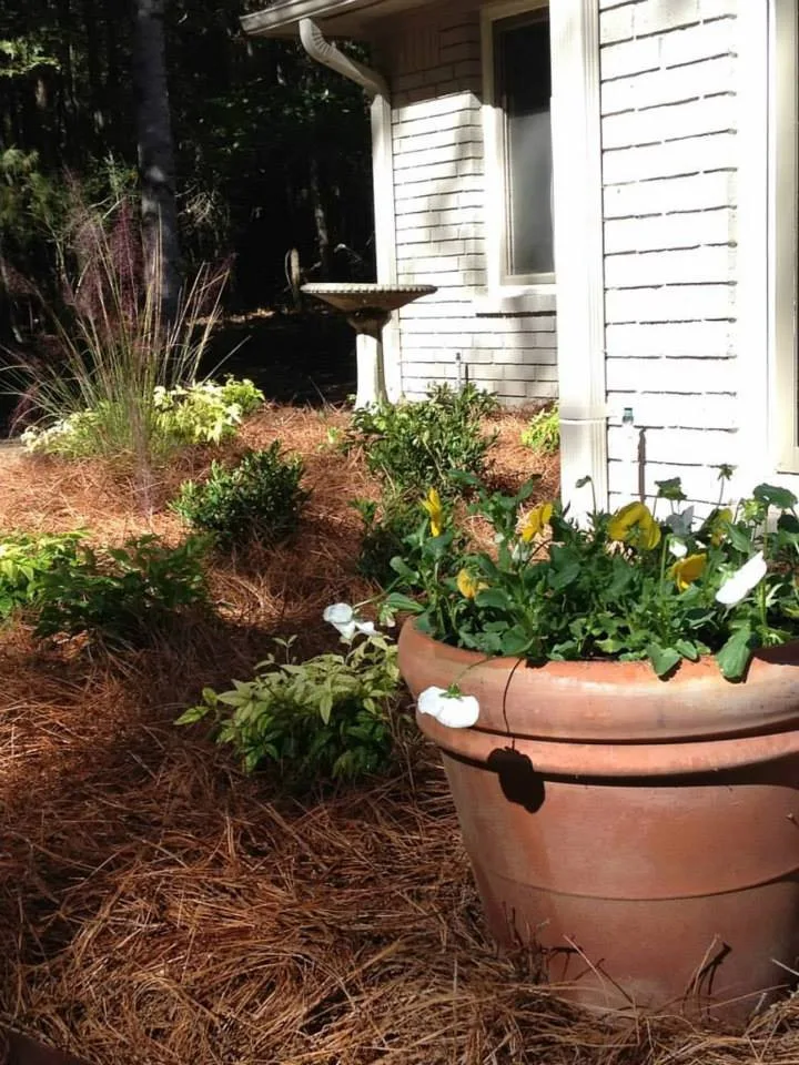 Ruston Landscaping LLC - Photo 7