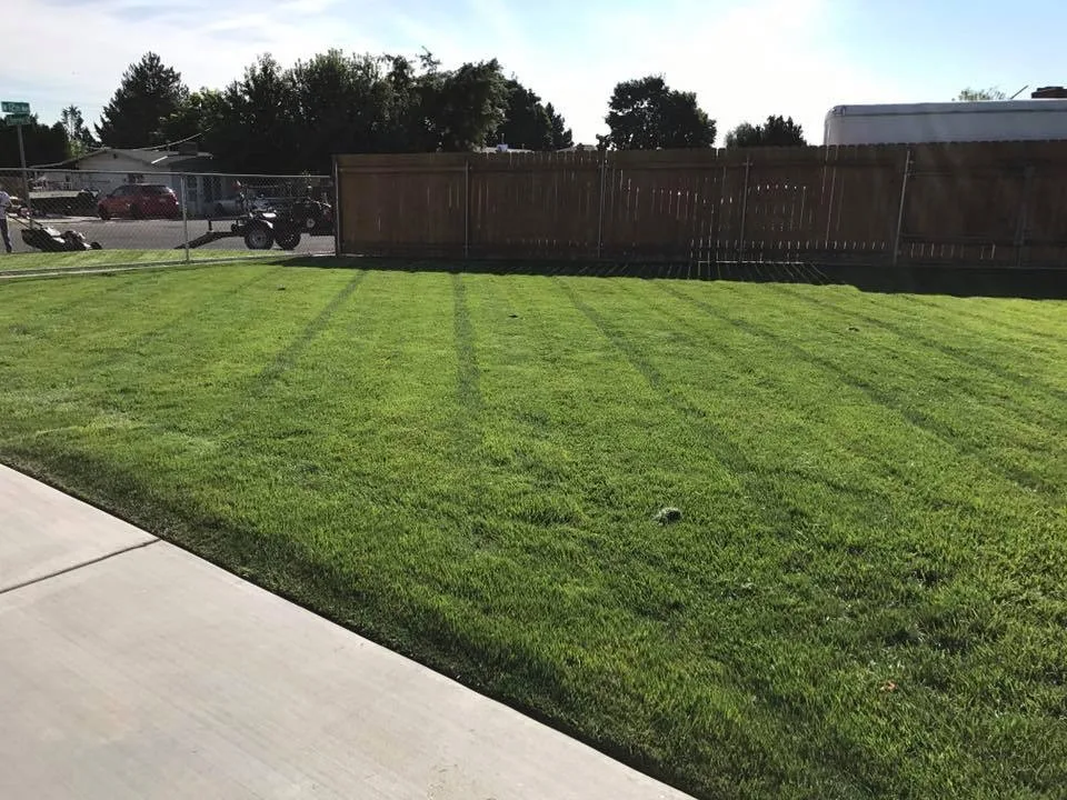 Commercial and Residential Lawn Care by Bonafide Landscaping - Photo 11
