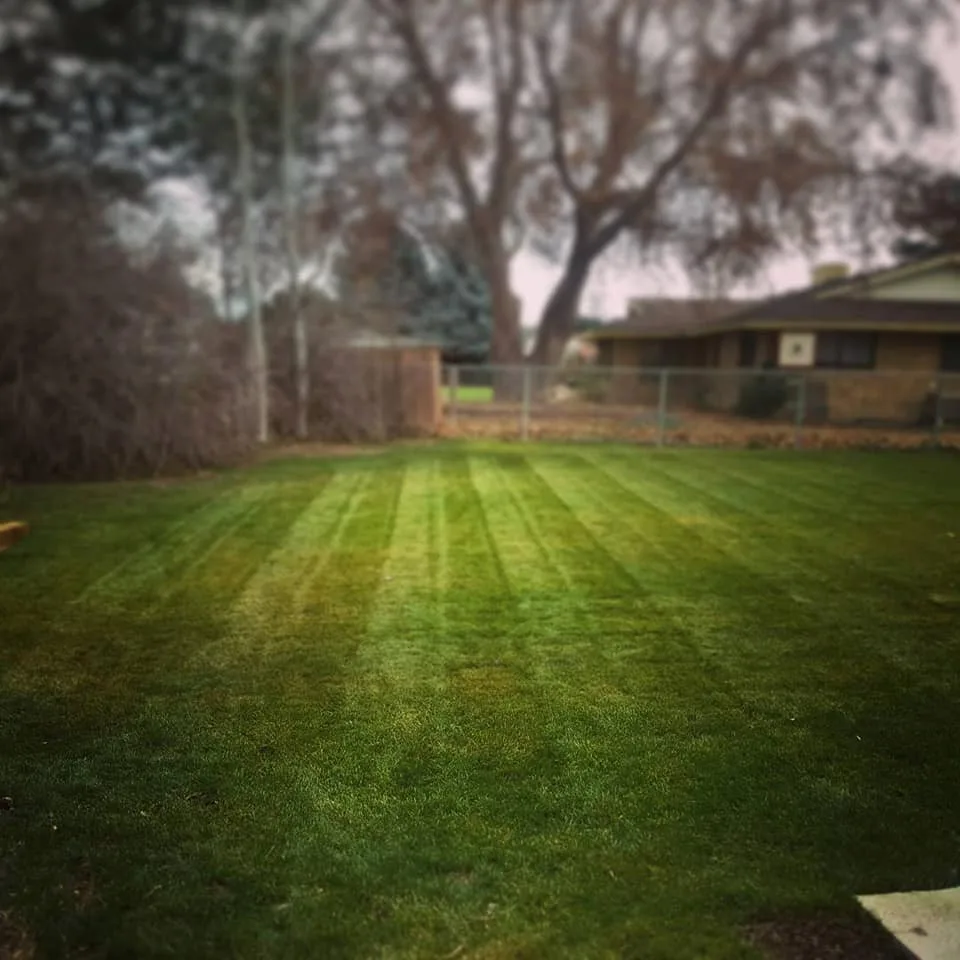 Commercial and Residential Lawn Care by Bonafide Landscaping - Photo 6