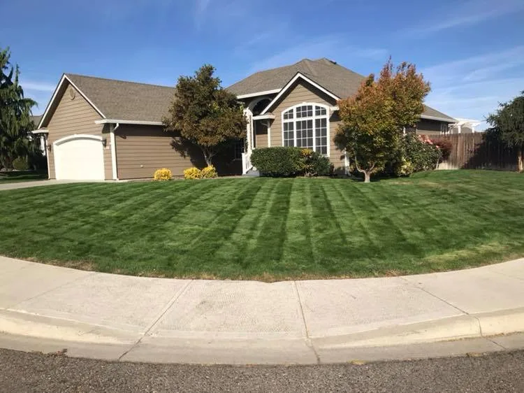 Commercial and Residential Lawn Care by Bonafide Landscaping - Photo 5