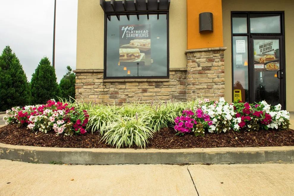 Taco Bell Commercial Real Estate by SGK Landscapes - Photo 5
