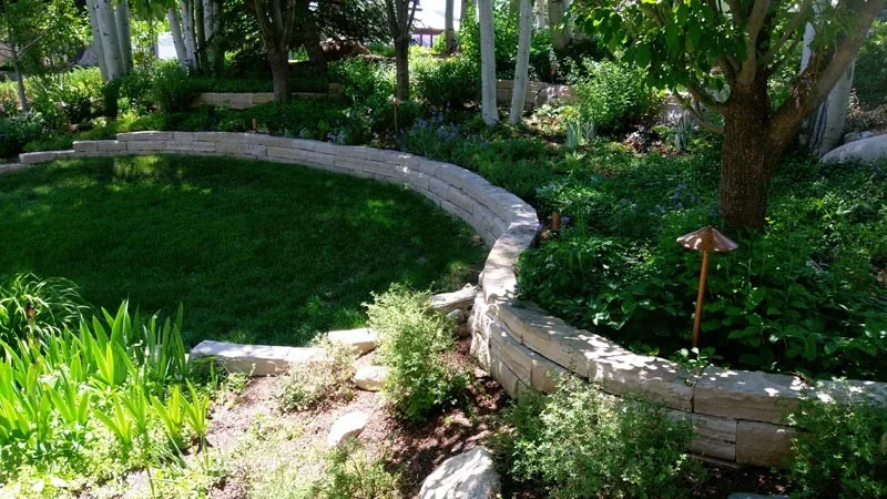 Novus Landscape - Photo 5