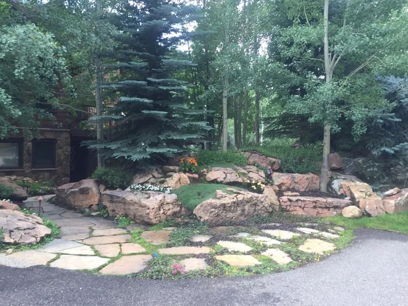 Building Project by Novus Landscape - Photo 7