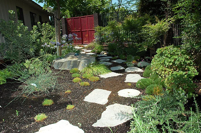Plant Systems Landscape - Photo 11