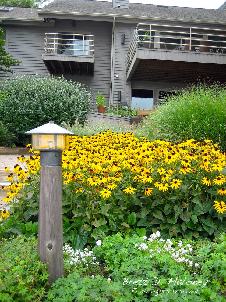 Brett Maloney Landscapes, LLC - Photo 14