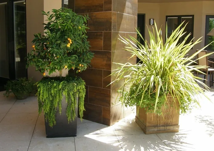 Modern Terrain by Plant Systems Landscape - Photo 4