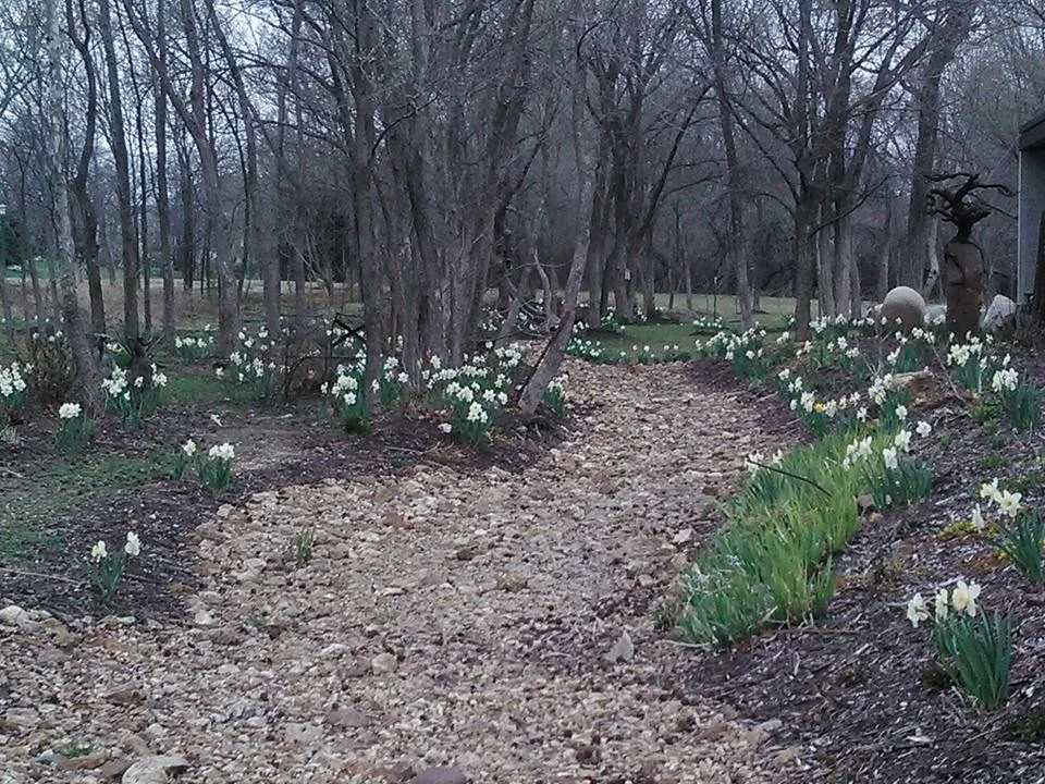 Modern Terrain by Inside - Out Designs LLC - Photo 9