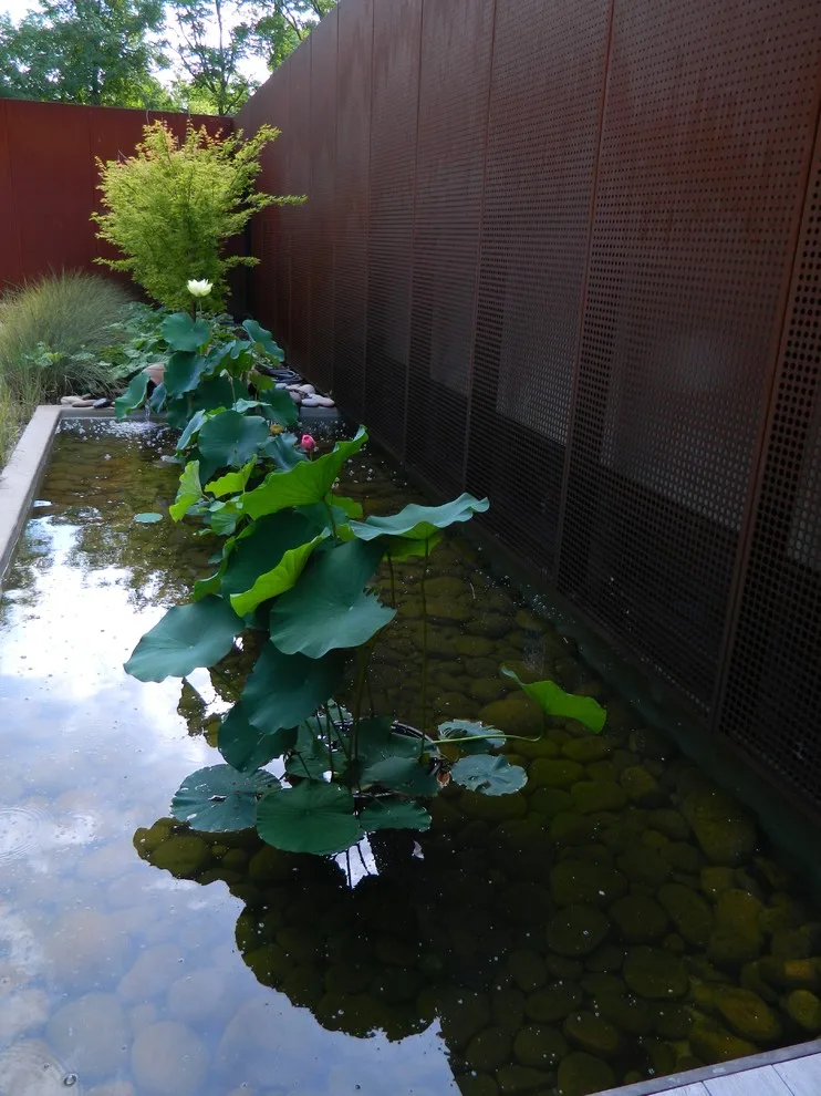 Modern Terrain by Inside - Out Designs LLC - Photo 5
