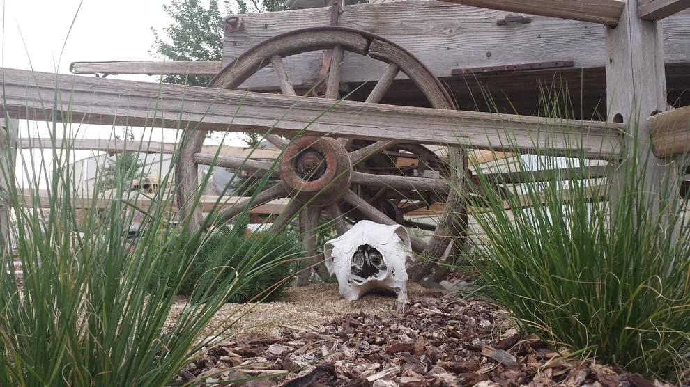 Kimberly Nurseries Landscaping & Irrigation - Photo 14