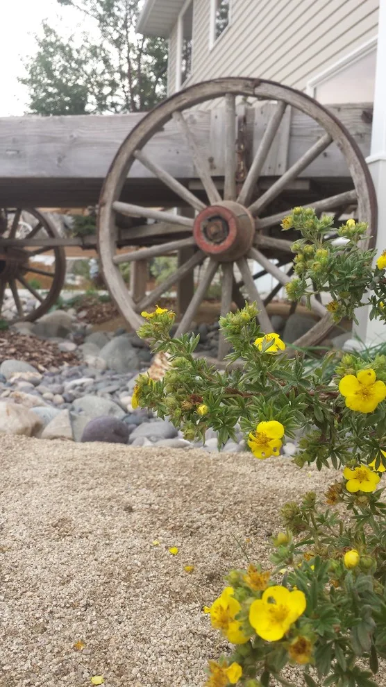 Country Creek Phase Two by Kimberly Nurseries Landscaping & Irrigation - Photo 3