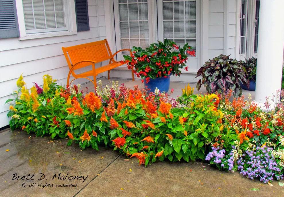 Rural Manor by Brett Maloney Landscapes, LLC - Photo 8