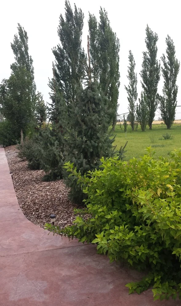 Rural Lifestyle by Kimberly Nurseries Landscaping & Irrigation - Photo 6